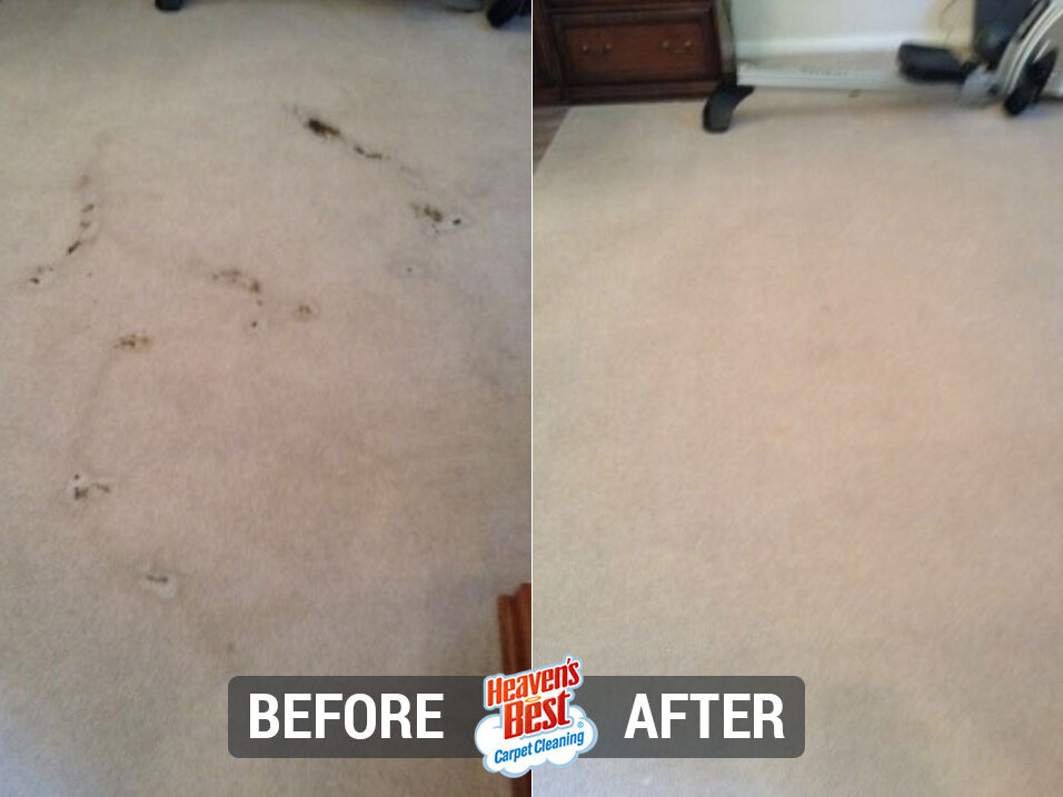 Heaven's Best Carpet Cleaning of Northwest San Antonio
