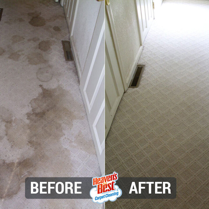 Heaven's Best Carpet Cleaning of Northwest San Antonio